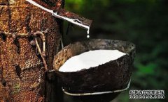 橡膠上漲仍可期，焦炭期現(xiàn)聯(lián)動，向