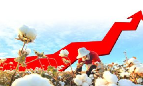 棉花期貨價(jià)格變化和哪些因素有關(guān)？