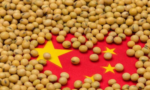 期貨本金虧完了會怎么樣？還需要加