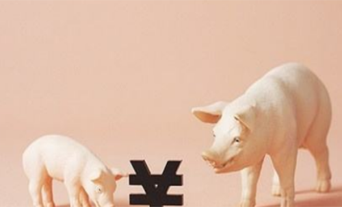 一手生豬期貨交易成本要多少錢(qián)？保