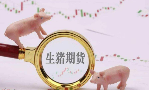 生豬期貨未來走勢將會如何？生豬期