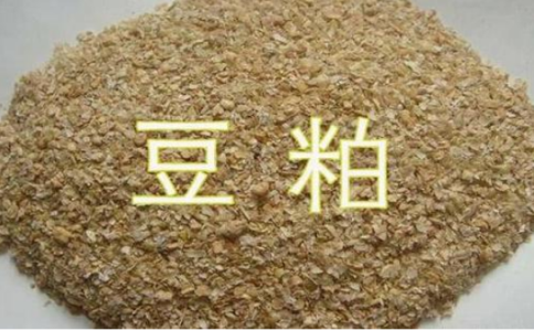 期貨豆粕和菜粕的關(guān)聯(lián)性，菜粕豆粕